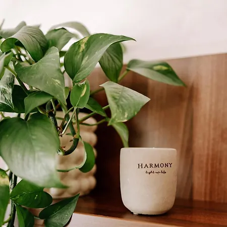 Apartment Kesta, Centrum, Free Parking Martin