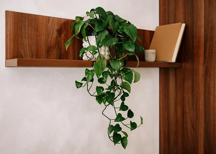 Kesta, Centrum, Free Parking * Martin